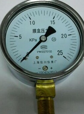 膜盒表 微压力计 YE100 直径100mm 压力 25kpa 螺纹m20x15