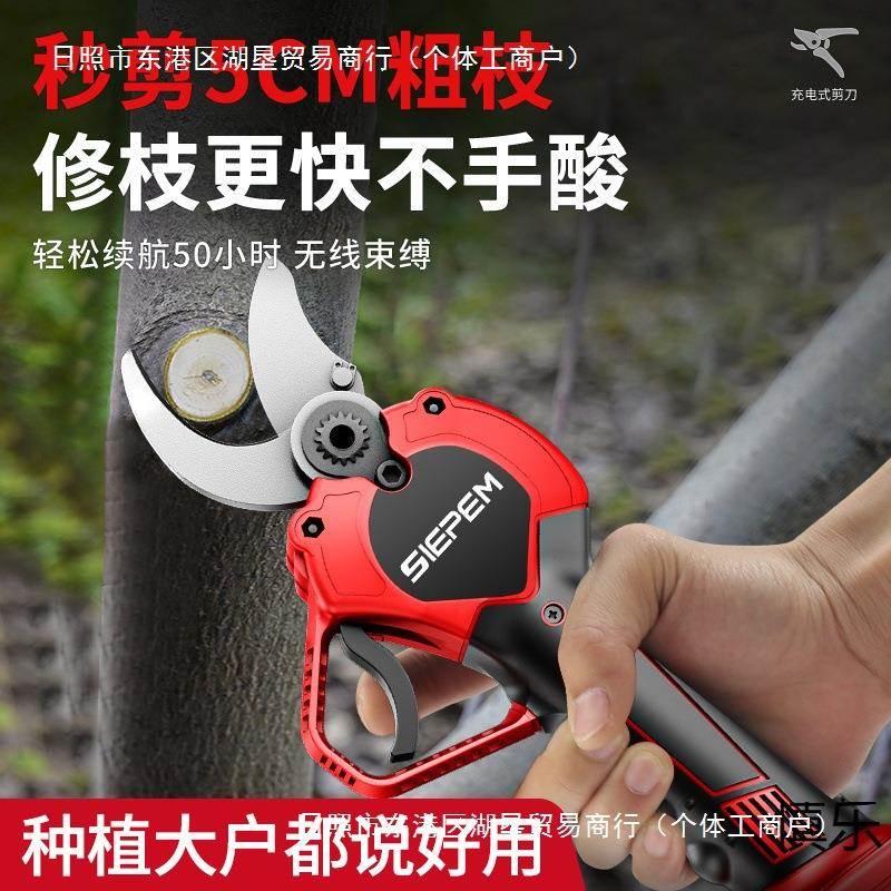 电德电国进口JKT剪刀修枝剪刀果树充电式液晶无线动锂园艺园林粗