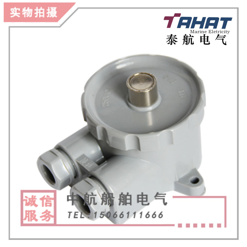 泰航电气AN10-11船用防水雾笛按钮AJF-1水密按钮开关船用控制按钮