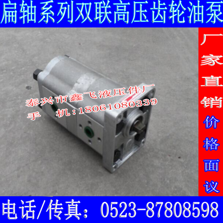 2CBN-E304/E306/E308/E310/E312/E314/E316/E318/E320/E325齿轮泵