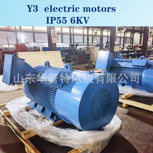 500KW出口三相异步交流电机IC411, 6300V,  IP55, 风机 水泵砖机