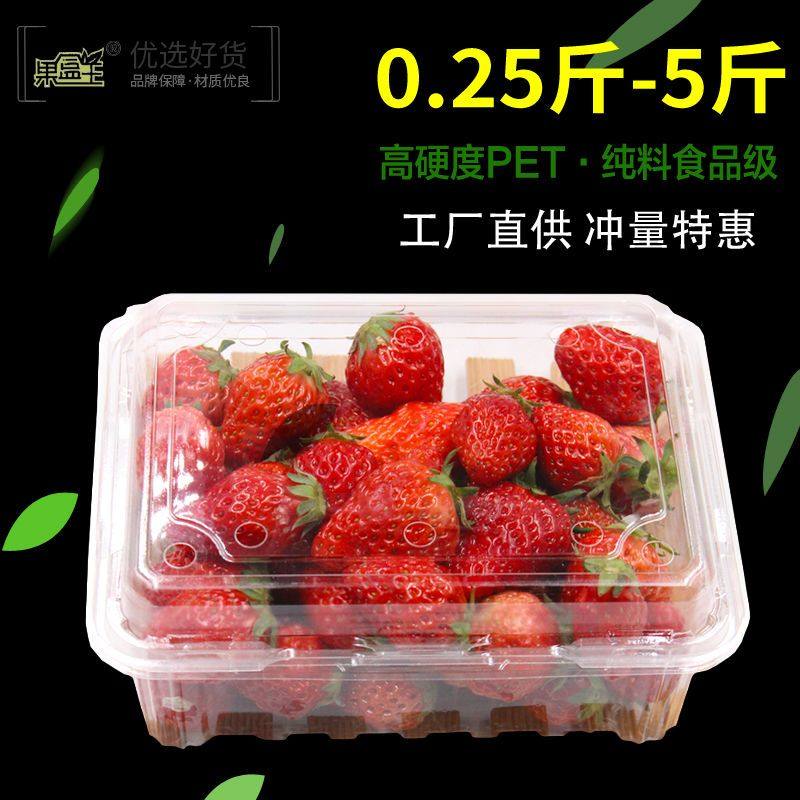 一次性加厚水果盒子蓝莓塑料