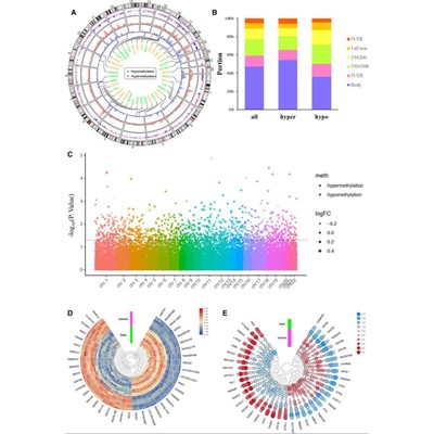 Nature折线图R语言代码Rstudio绘图SCI科研生信医学数据分析作图