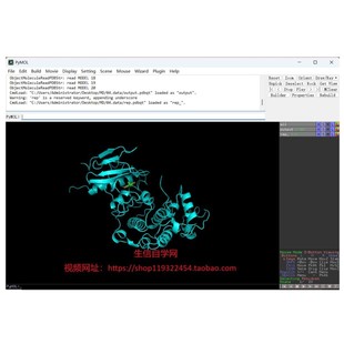 分子动力学模拟视频(Gromacs软件/基于分子对接结果)
