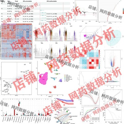 分子动力学模拟DM MMPBSA 分子对接网络药理学 单细胞 孟德尔分析