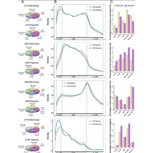 r语言代做python数据分析深度机器学习算法经济金融统计stata实证