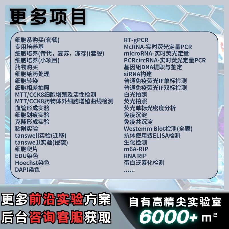 动物实验 机器学习 动物/细胞/蛋白实验/转录组/多组学/TCGA/GEO