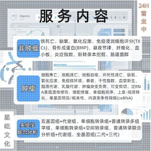 Meta分析医学科研整理医学科研全套