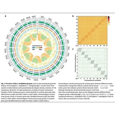 Python数据分析 机器学习 深度学习  数据库 sql查询  一对一辅导