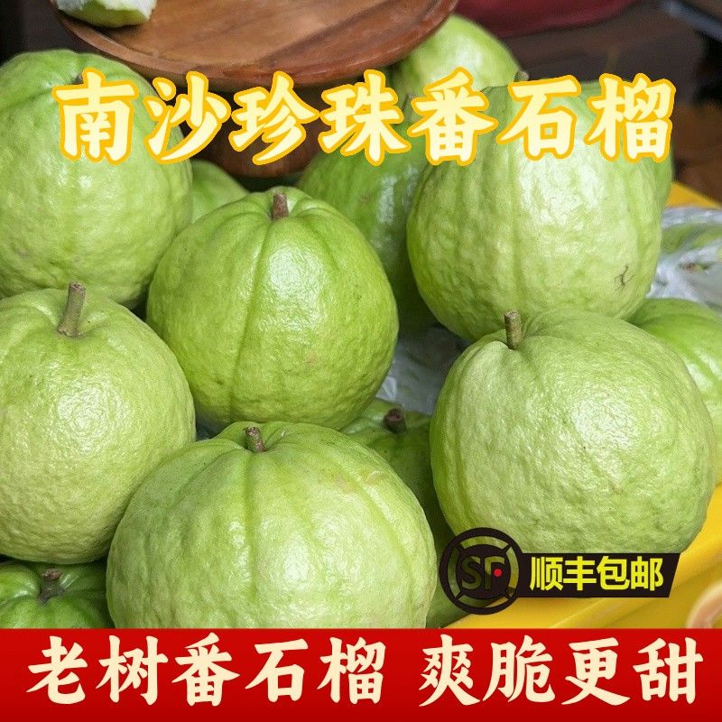 爽脆口感万顷沙白心珍珠芭乐水果青番石榴广东水果芭乐
