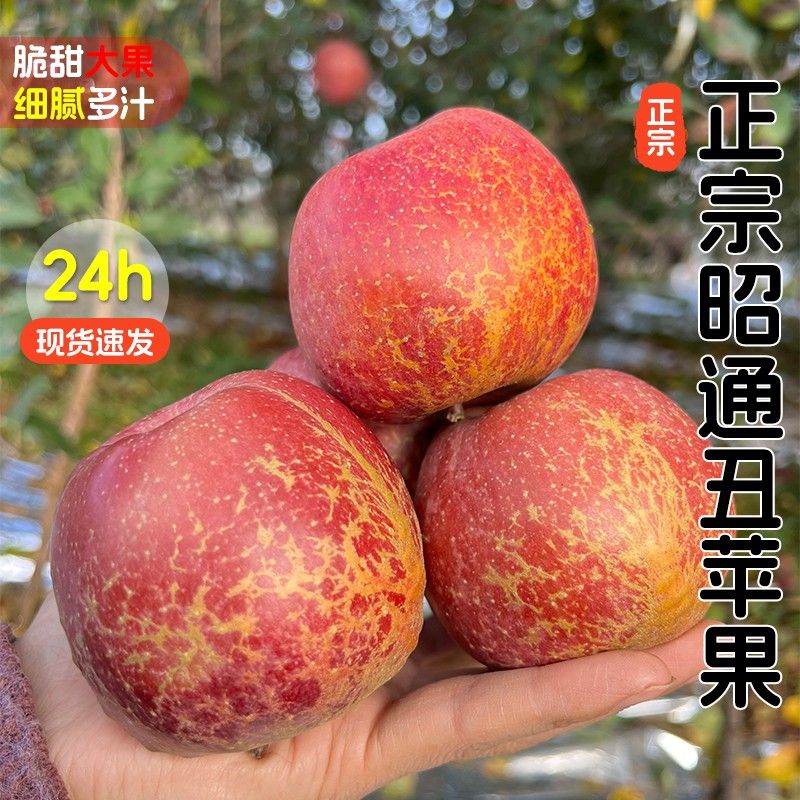 正宗云南高原丑苹果高原农家种植新鲜水果脆甜多汁整箱包邮