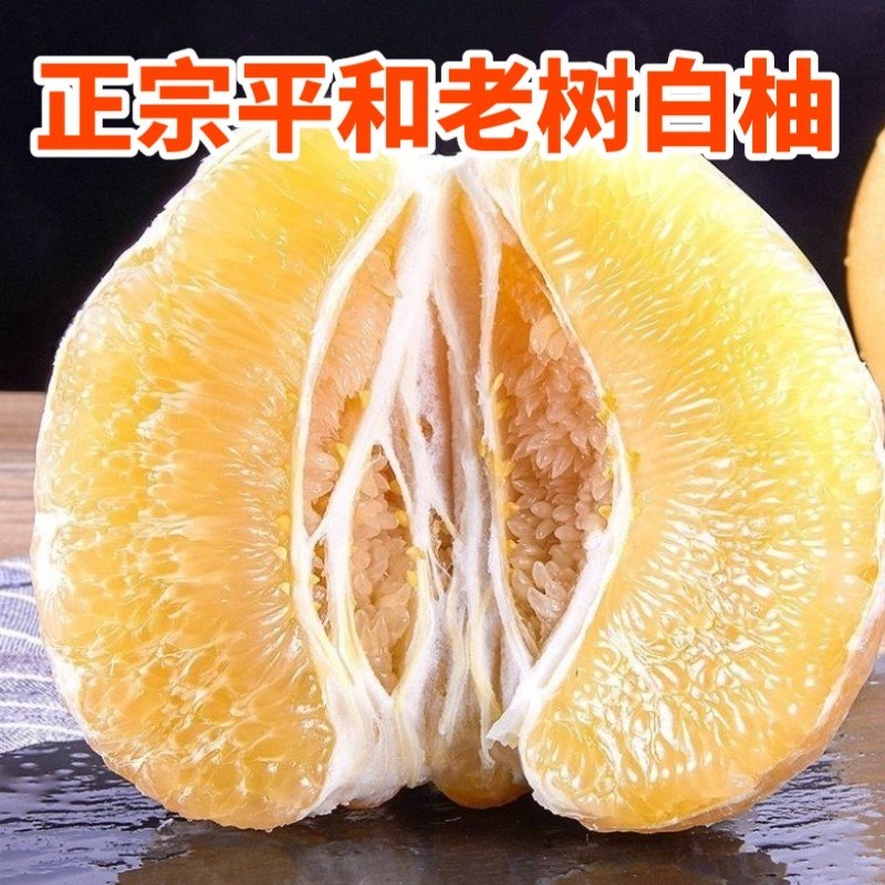 鑫泳源福建平和老树白玉蜜柚水晶柚白心柚白玉金丝蜜柚六月白