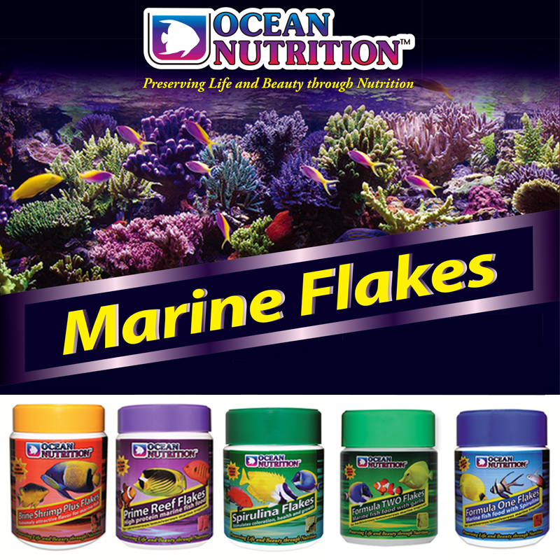 海洋牌鱼粮海水鱼食热带鱼饲料养殖专用小型微粒小颗粒荤素食薄片