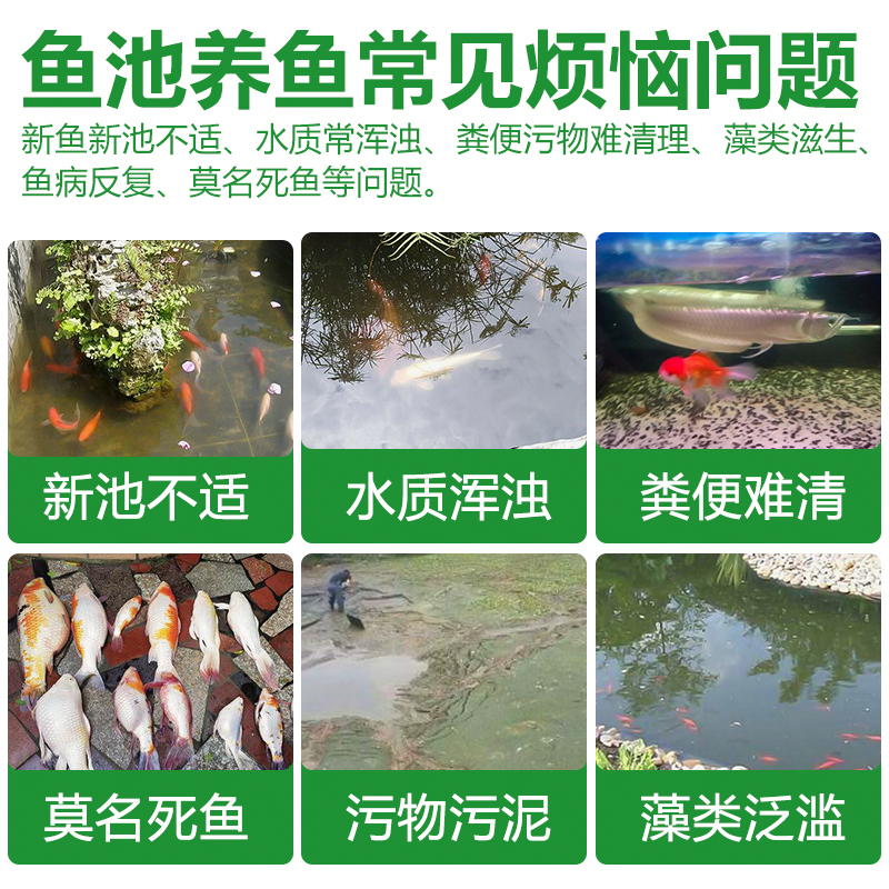 鱼缸硝化细菌锦鲤专用水族活菌净水剂养鱼用品鱼药水鱼池消化细菌