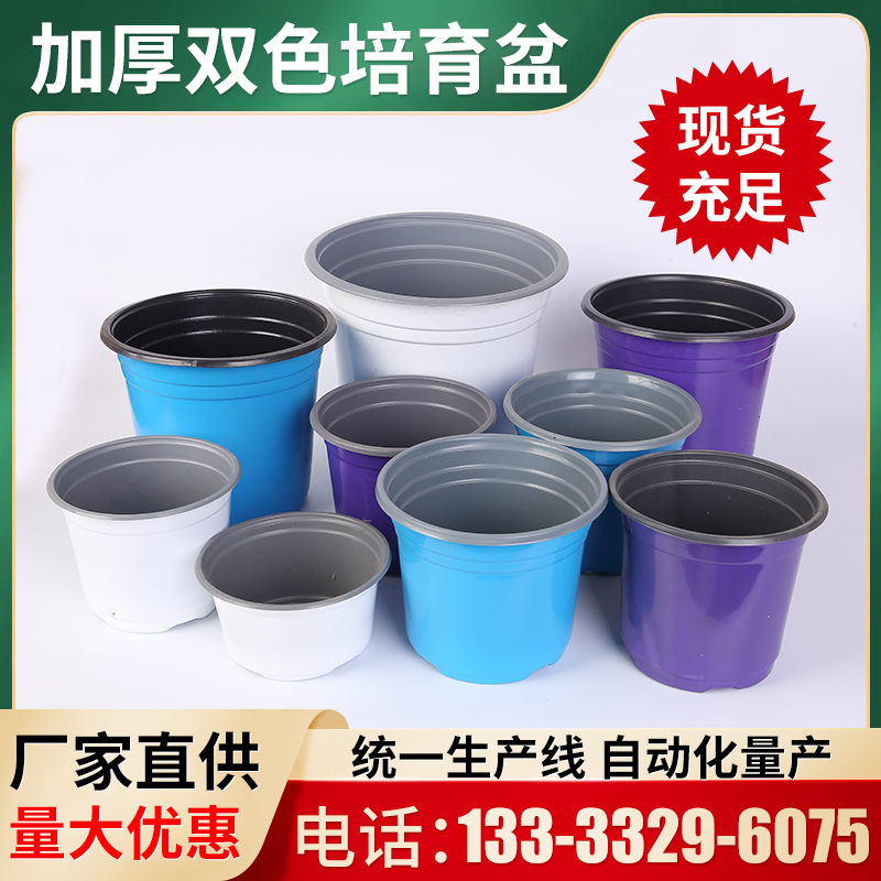 双色盆加厚蓝色白色紫色一次性塑料扦插育苗花盆草莓多肉种植盆