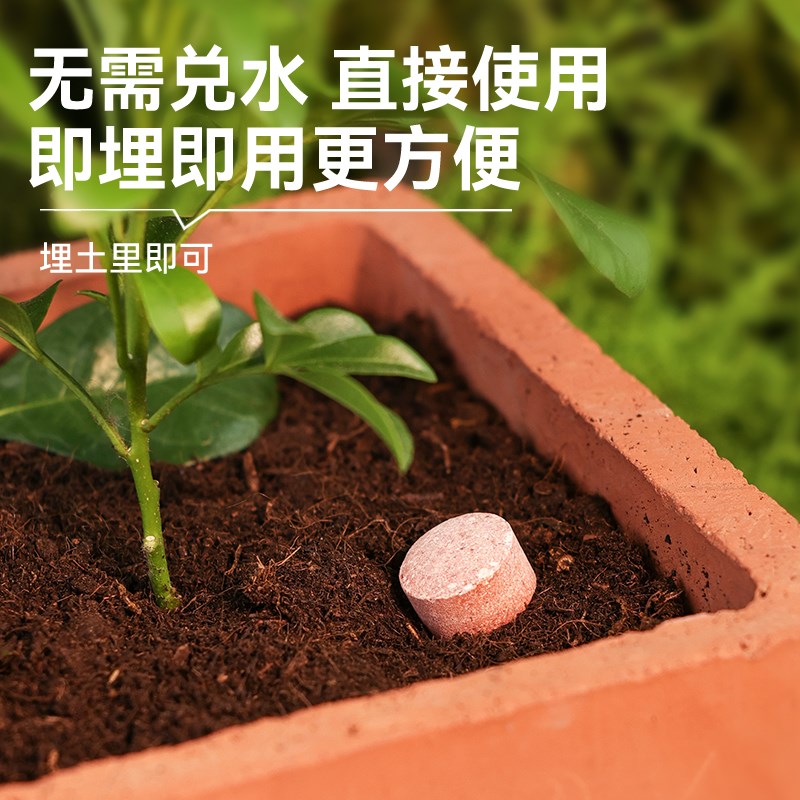 君子兰专用肥料家用花卉盆栽肥通用君子兰促箭剂专治黄叶不开花肥