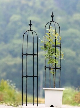 第三代新款爬藤架户外花卉攀爬架花支架月季铁线莲白色室外花架