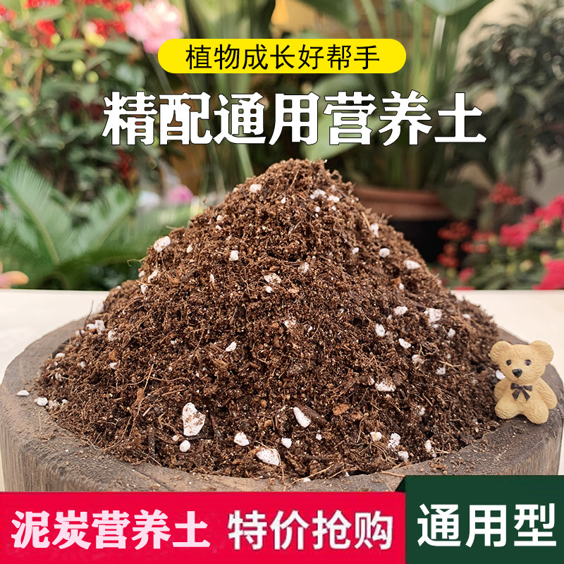 通用型泥炭营养土大包养花种菜土育苗多肉土绿植花土有机种植土壤,鲜花速递/花卉仿真/绿植园艺,介质/营养土,淘宝优惠券,粉丝福利购,淘宝优惠卷