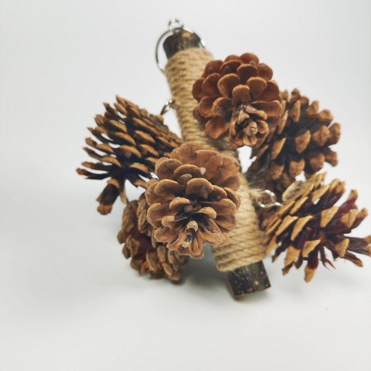 鹦鹉啃咬玩具鸟笼挂件麻绳松果爬梯虎皮牡丹玄凤零食磨牙玩具