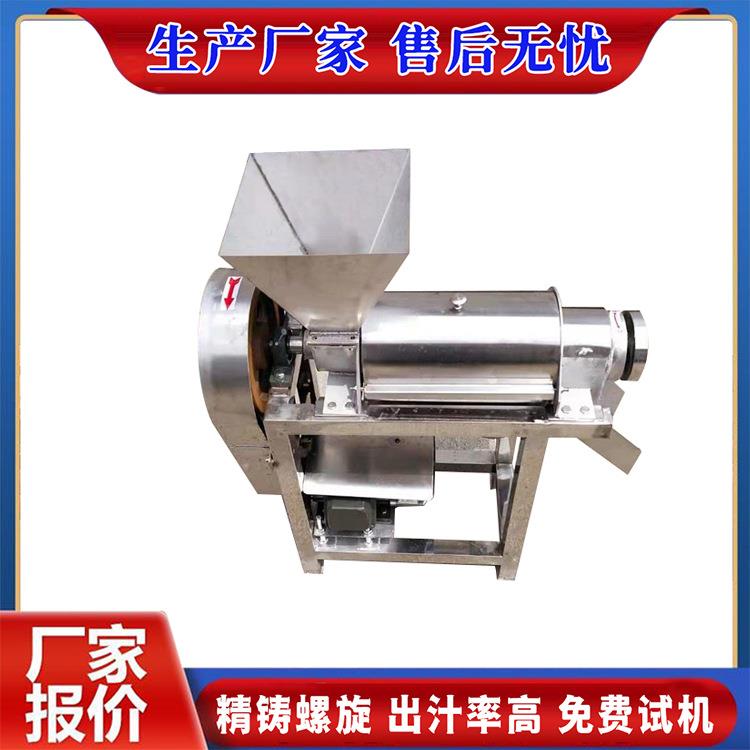 大型生姜破碎打汁机杨梅山楂芒果去核打浆机工业螺旋香梨榨汁机