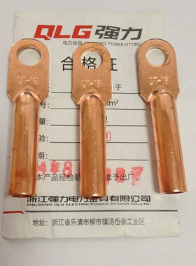 铜鼻子 堵油铜接头 铜接线端子 铜鼻16平方  DT16铜鼻 B级 国标
