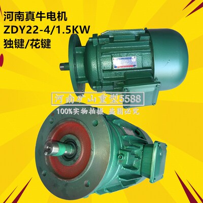 锥形转子三相异步电动机 河南真牛电机YEZ132M4/75KW架桥机电机