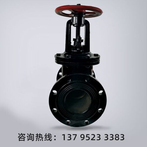 Z41T明杆铸铁法兰闸阀自来水消防热力供暖手动阀门铜芯铜杆DN5080