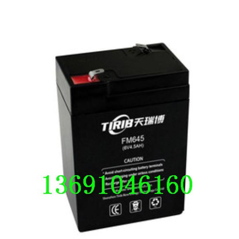 天瑞博TIRIB蓄电池FM645 (6V4.5AH)玩具车 儿童汽车 电子秤电瓶