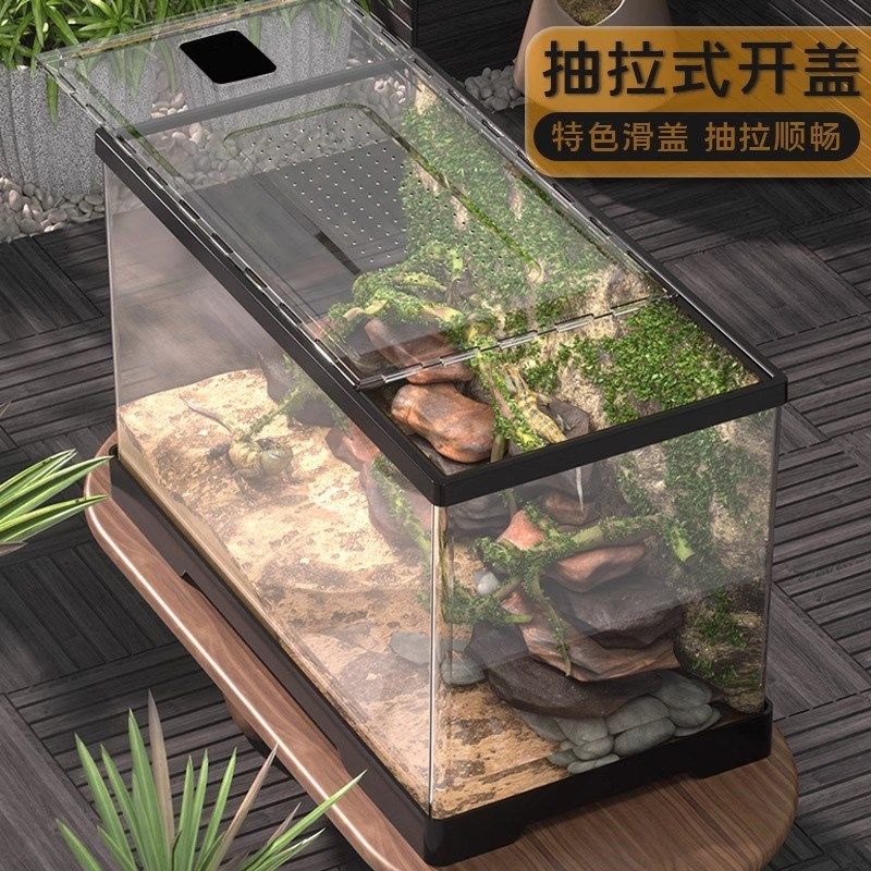 爬宠饲养箱新派大型爬宠饲养箱躲避屋亚克力超大造景鬃狮蜥爬宠箱,宠物/宠物食品及用品,桌面缸,淘宝优惠券,粉丝福利购,淘宝优惠卷