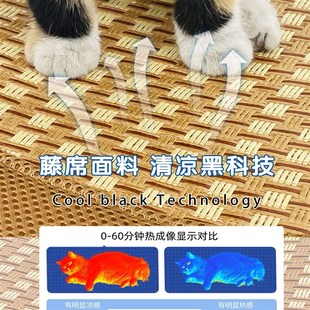 通用可拆洗夏天夏季 猫窝四季 幼猫咪吊床吊篮小猫床宠物行军床凉席