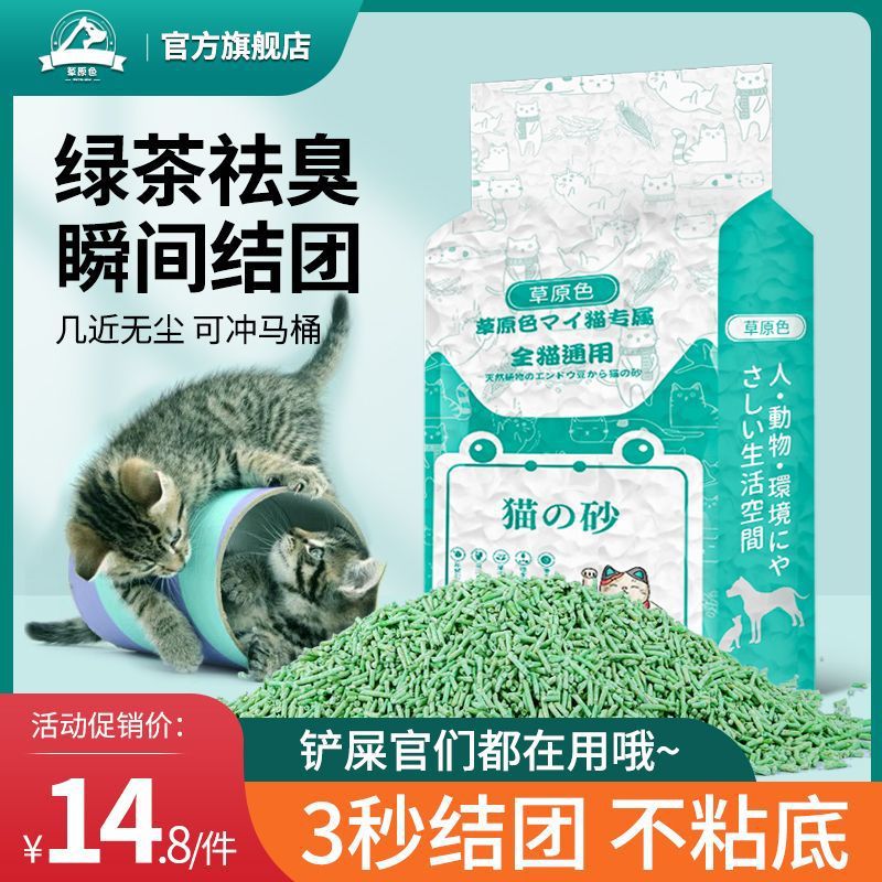 绿茶味除臭豆腐猫砂不粘