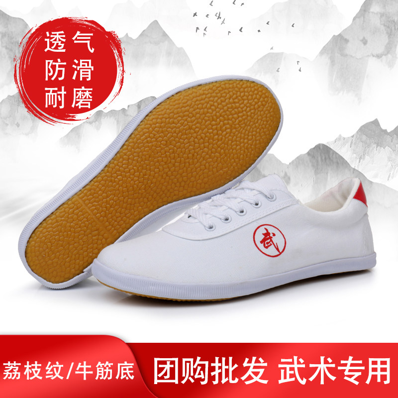 武术鞋男太极鞋女帆布鞋牛筋底练功鞋运动鞋小白鞋儿童武术表演鞋