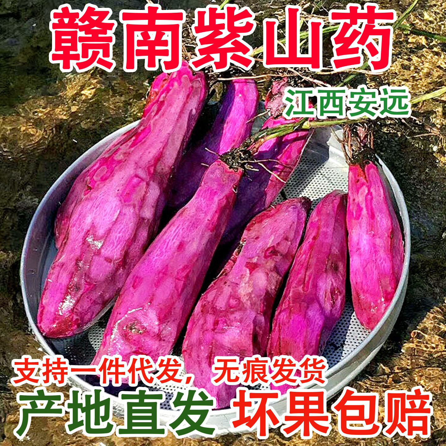赣南紫山药江西安远脚板薯新鲜现新鲜山药