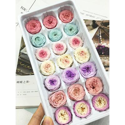 花掌柜永生花A级2-3-4cm奥斯汀玫瑰diy材料包玻璃罩礼盒车挂钥匙