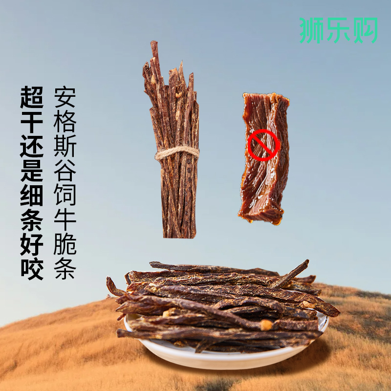 狮乐购风干牛脆条牛肉干细条罐装