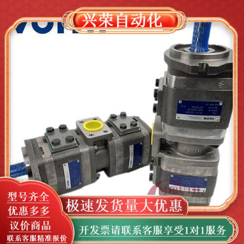 VOITH泵IPV7/6-250/200/160/125-1