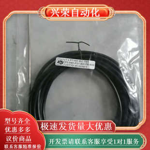 P3.945 751 IEC 温度传感器1xPT100