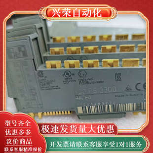 模块 质量保证 X20PS3300