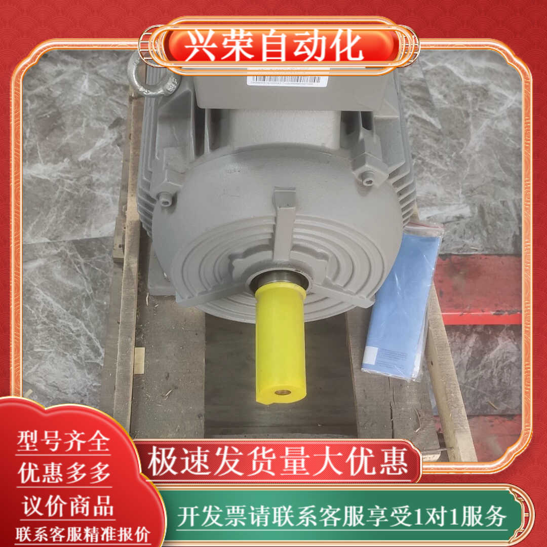 1LE0002-1DA43-3AA4变频调速电机