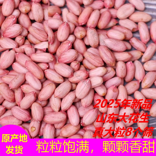 山东特大粒花生米8个筛大颗粒