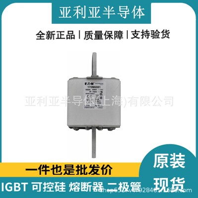 170M6008 170M6020 170M6080 170M6081 直流快速熔断器 全新现货