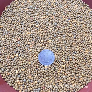 木本 6月 蔬菜通用 绿萝 奥绿501号缓释肥料15 金钱树