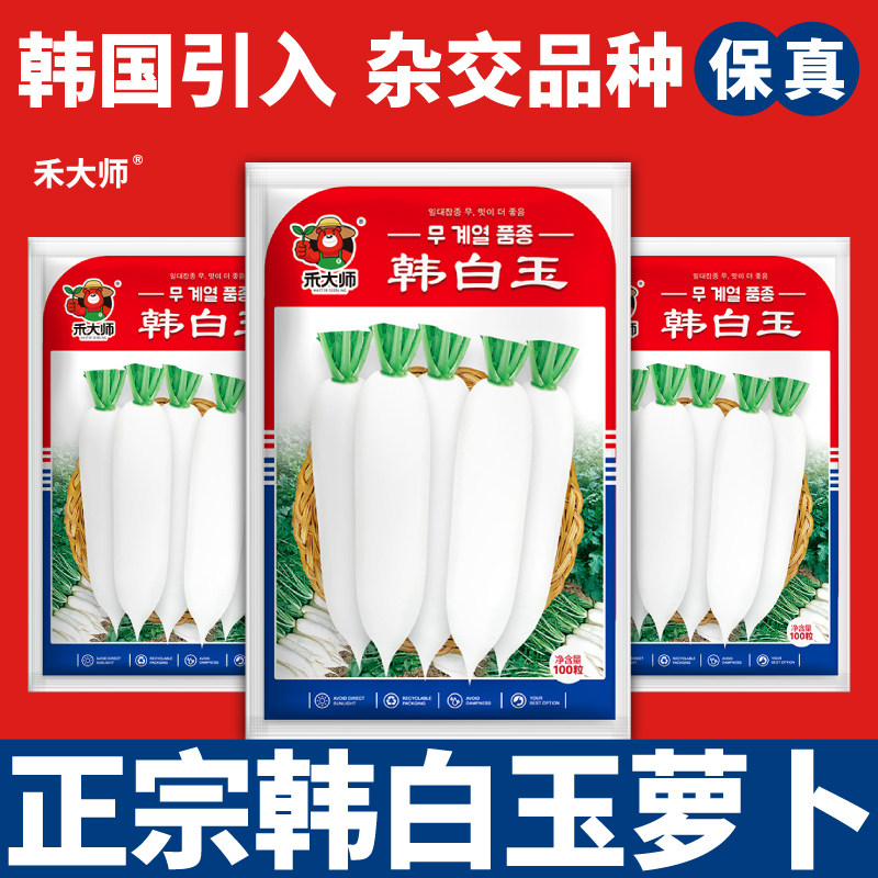 杂交韩白玉萝卜种子白条顺滑脆甜多汁高产水果萝卜种籽阳台小院