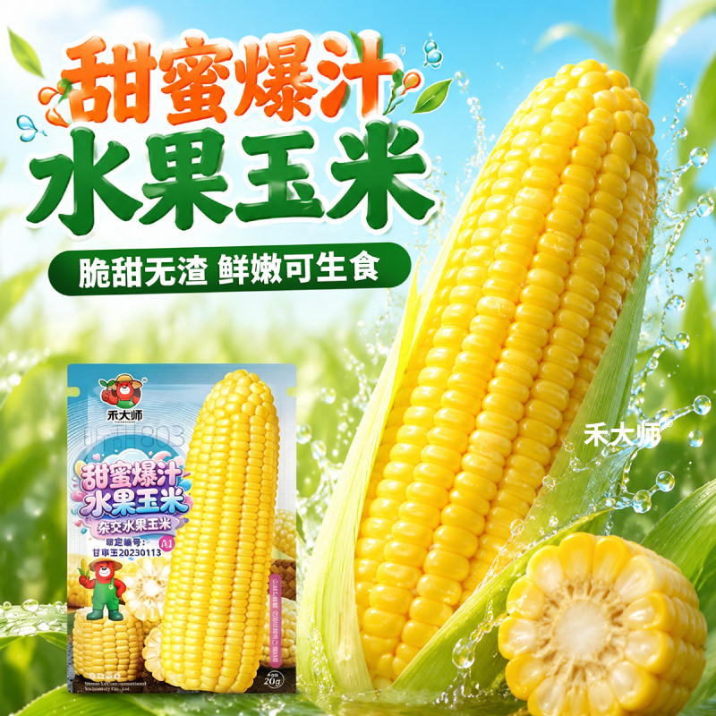 甜蜜水果玉米种子生熟两吃多汁大田播种高产四季甜玉米籽大棒苞米