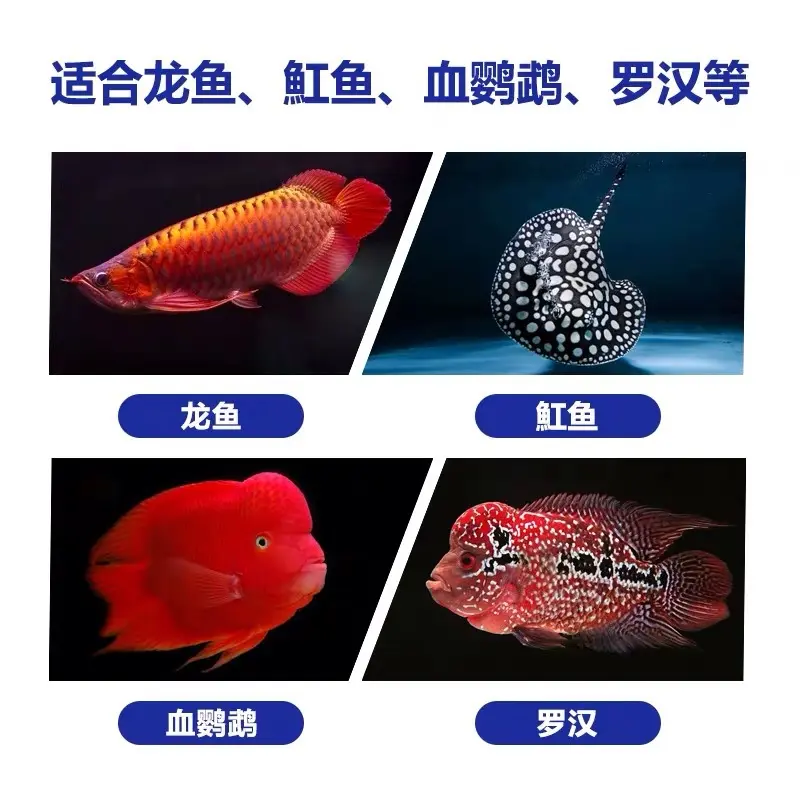 新必定清龙鱼魟鱼罗汉观赏鱼必定清1号必定清2号护理剂