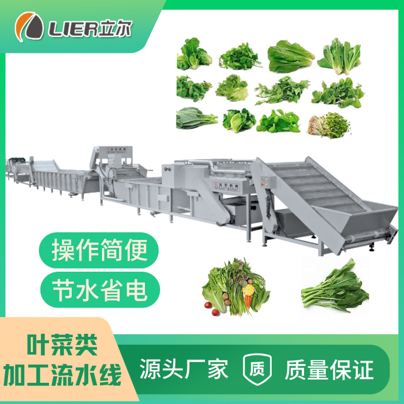 蔬菜水果清洗机包装袋食品清洗风干烘干流水线 喷淋式藕片清洗机