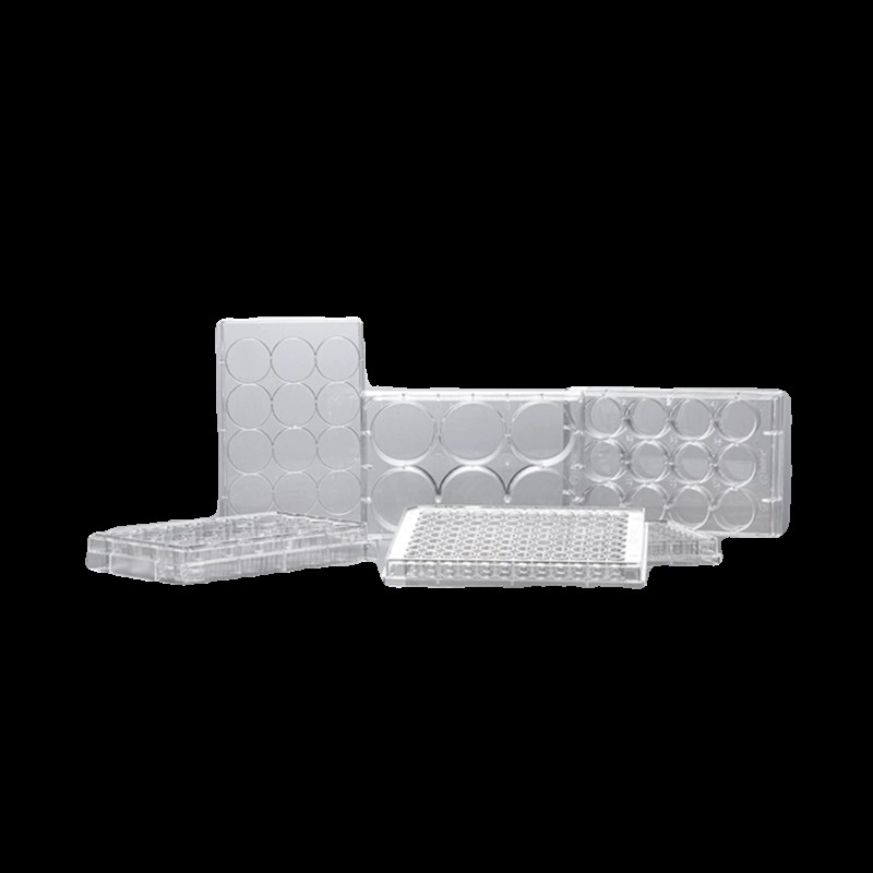 JET洁特细胞培养板6孔板TC处理TCP011006