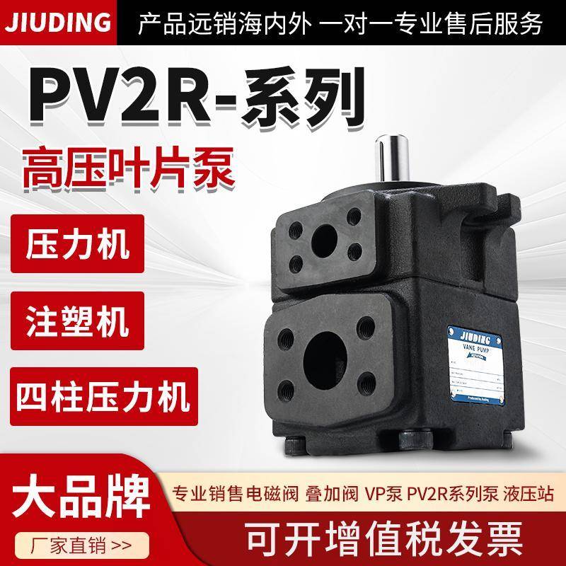 pv2r1高压叶片泵PV2R2定量液压帮浦总成pv2r3/4液压油泵压头配件