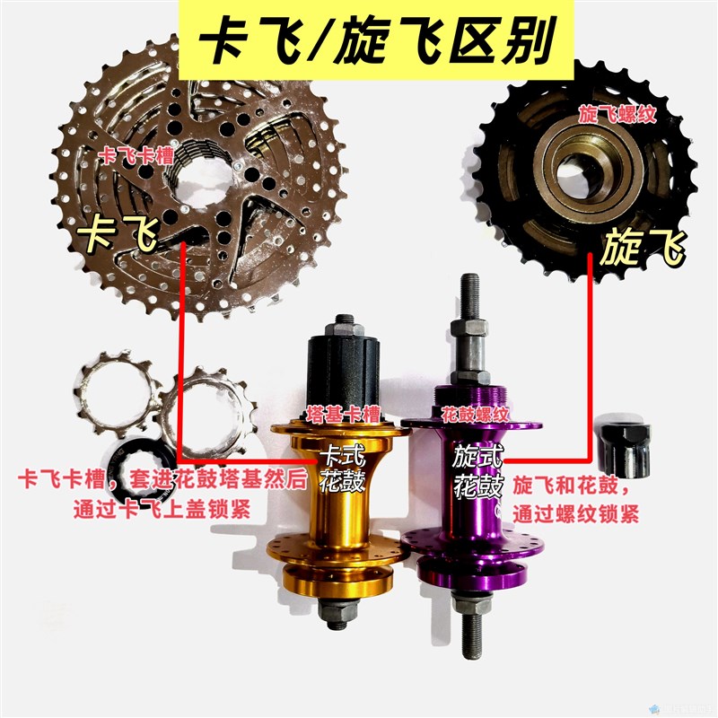 梅隆山地车碟刹快拆轮组紫色120响花鼓培林24寸轮组彩色花鼓