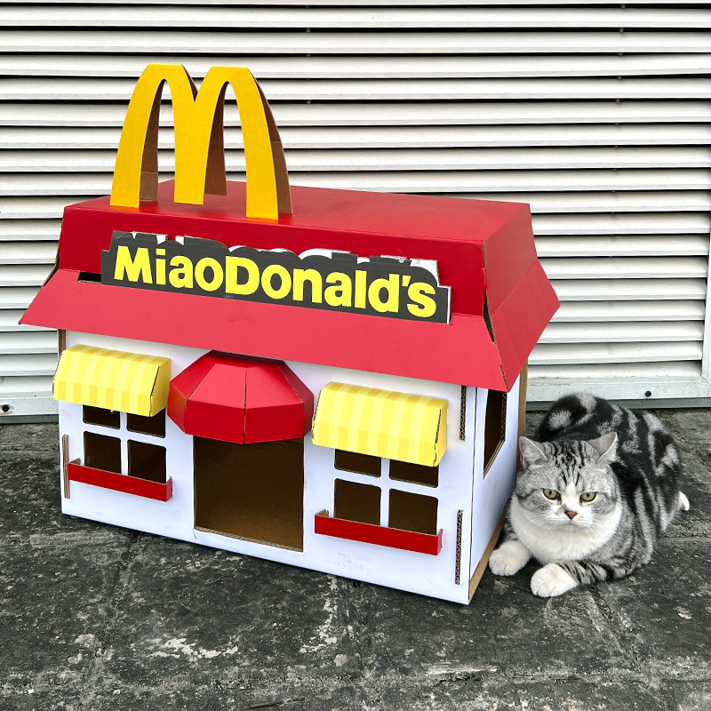 猫咪纸箱屋猫窝猫抓板一体立式盒子大号别墅瓦楞纸网红猫咪用品,宠物/宠物食品及用品,猫窝/屋/帐篷/沙发,淘宝优惠券,粉丝福利购,淘宝优惠卷